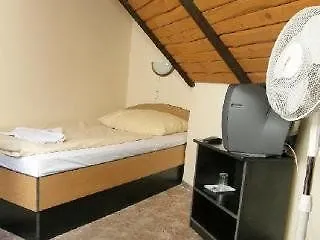 Pension U Lilie Prague 3*,