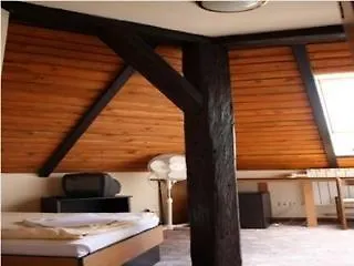 Pension U Lilie Prag 3*,
